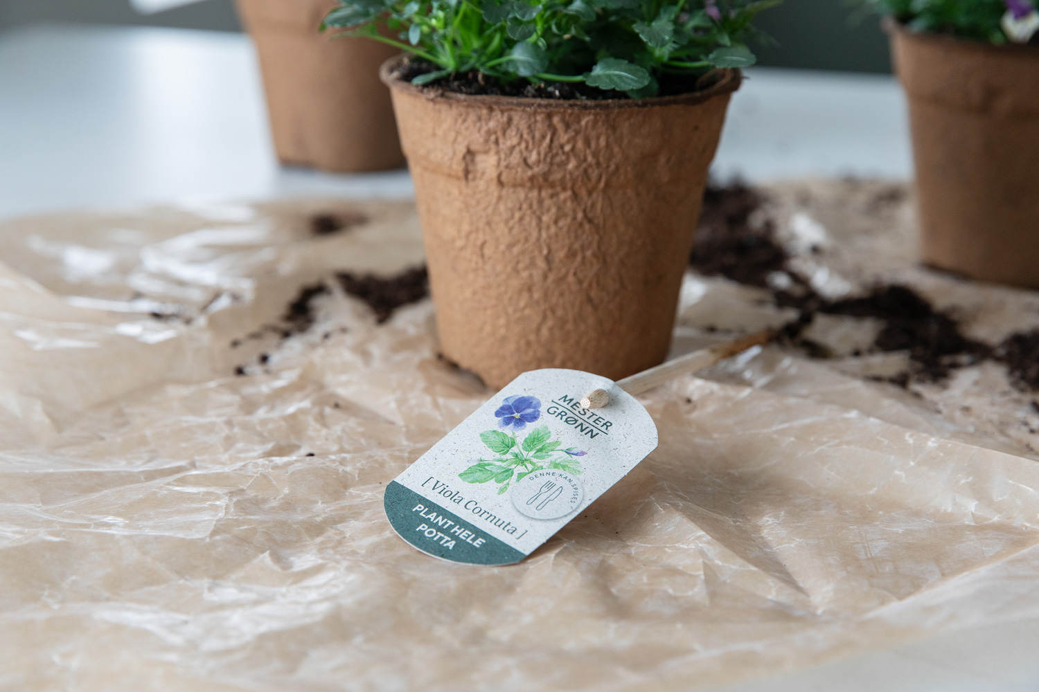 Viola merket som spiselig